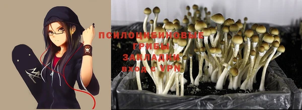 гидропоника Надым
