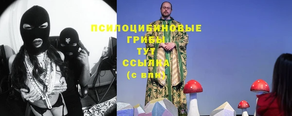 гидропоника Надым