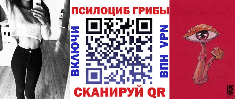 дарк нет официальный сайт Учалы Галлюциногенные грибы Psilocybe купить наркотик